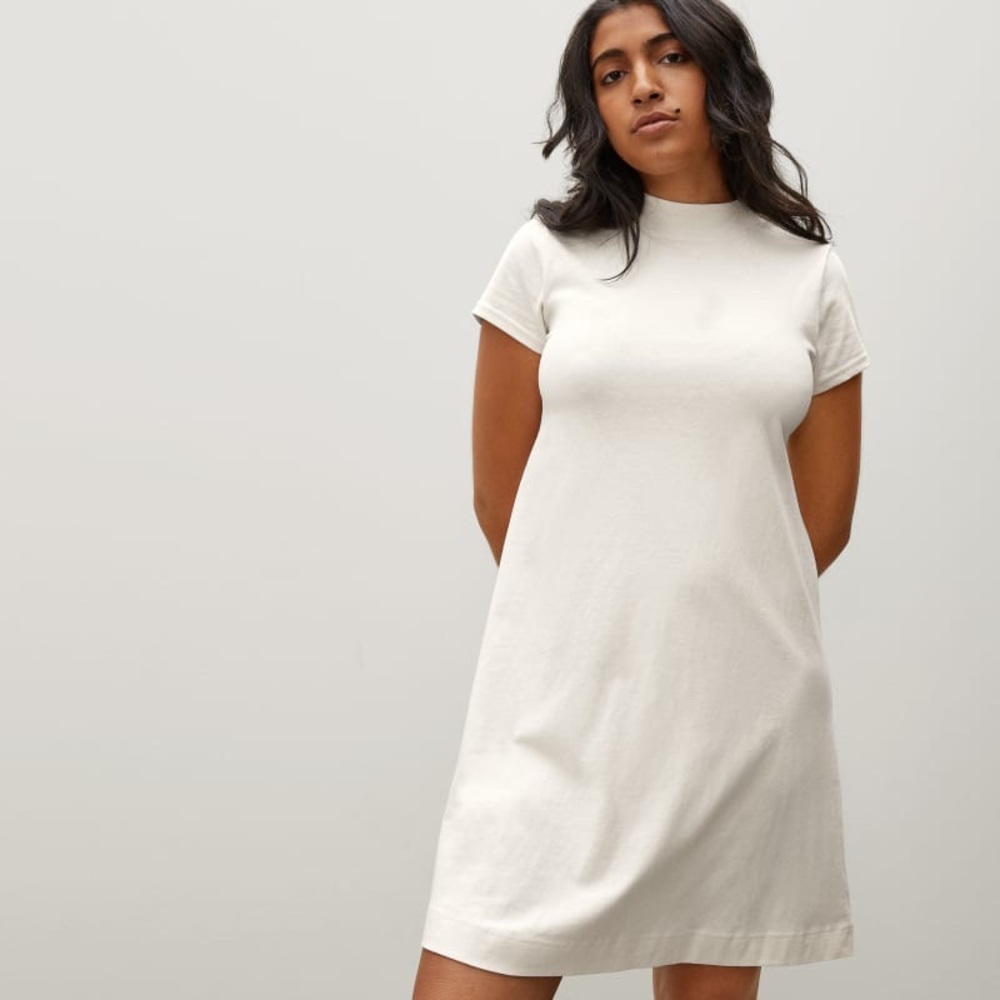 Everlane Swing Dress Small - Canvas